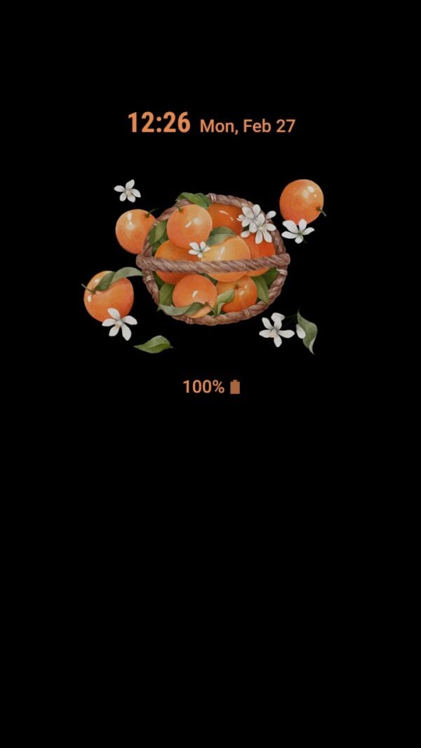 Samsung Themes: ❤️Mun❤️ Juicy Orange ~❤️ Premium Theme with flower - Image 7