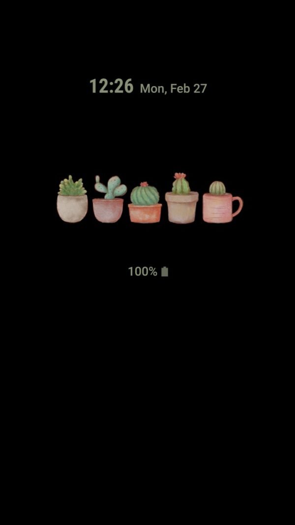 Samsung Themes: ❤️ Mun ❤️ Cactus and cat ~❤️ Premium Theme Official with green and home plants decor - Image 7