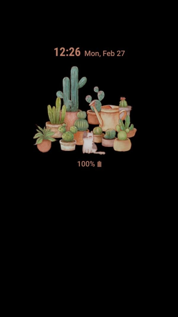 Samsung Themes: ❤️ Mun ❤️ Outdoor cactus species ~❤️ Premium Theme Official with cat and houseplants - Image 7