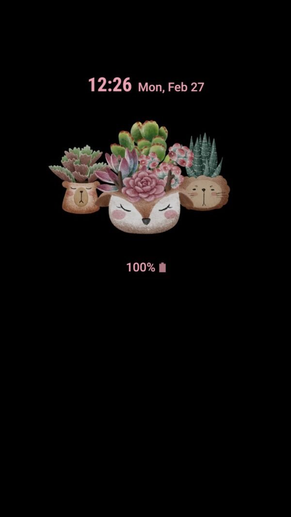 Samsung Themes: ❤️Mun❤️ Vintage Succulent ~❤️ Premium Theme wonderful aesthetic vibe - Image 7