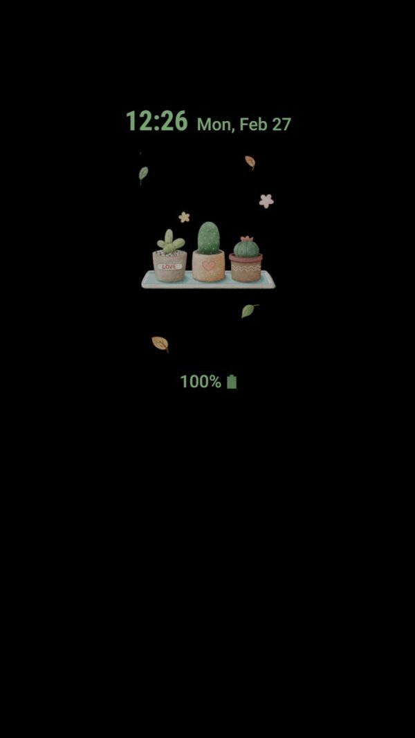 Samsung Themes: ❤️Mun❤️ Cactus Plants Kawaii ~❤️ Premium Theme Fall in love with the cutest succulents around - Image 7