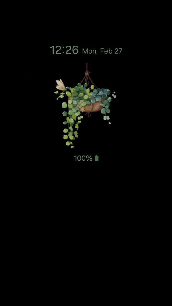 Samsung Themes: ❤️Mun❤️ Hanging Plants ~❤️ Premium Theme the best hanging plants for your room - Image 7