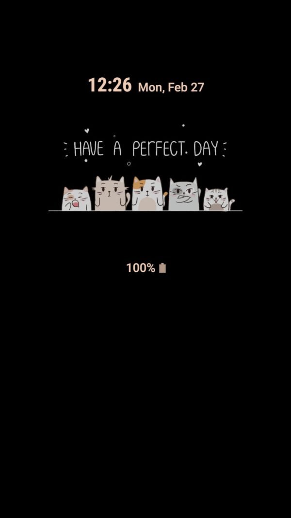 Samsung Themes: ❤️Mun❤️ Funny Cats ~❤️ Premium Theme have a perfect day of funny cats - Image 7