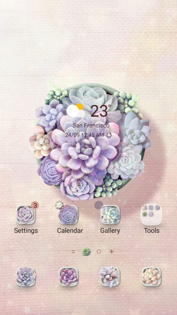 Samsung Themes: ❤️Mun❤️ Succulent plant ~❤️ Premium Theme colorful stone lotus pots