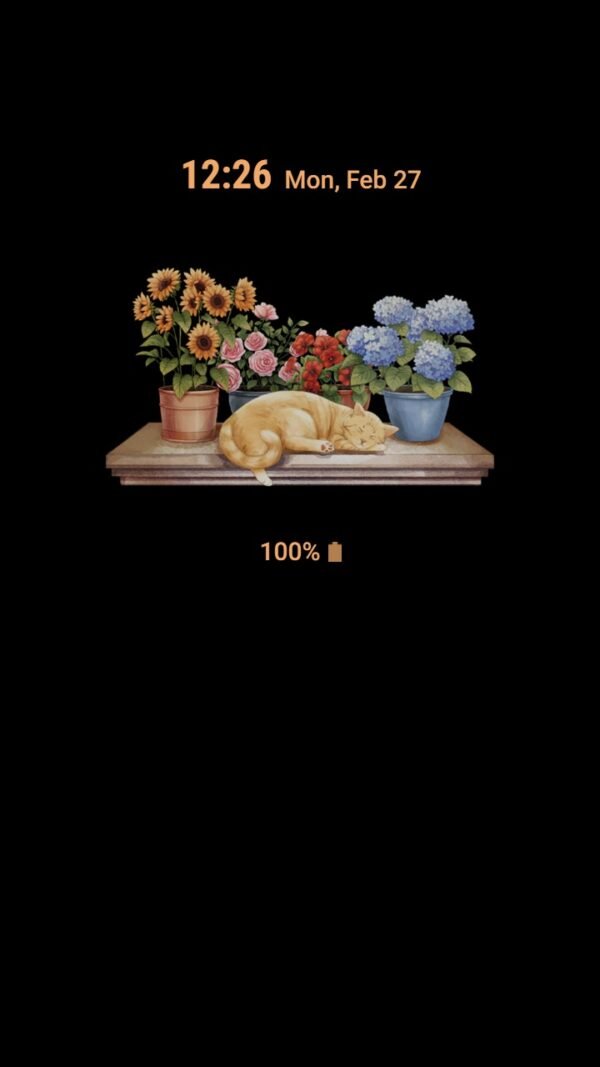 Samsung Themes: ❤️Mun❤️ Cat by the Window ~❤️ Premium Theme the serene presence of a cat by the window - Image 7