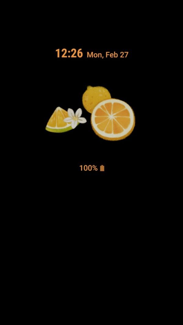 Samsung Themes: [Sim] Citrus Summer ~ Premium Theme lemon and freshness of summer - Image 7