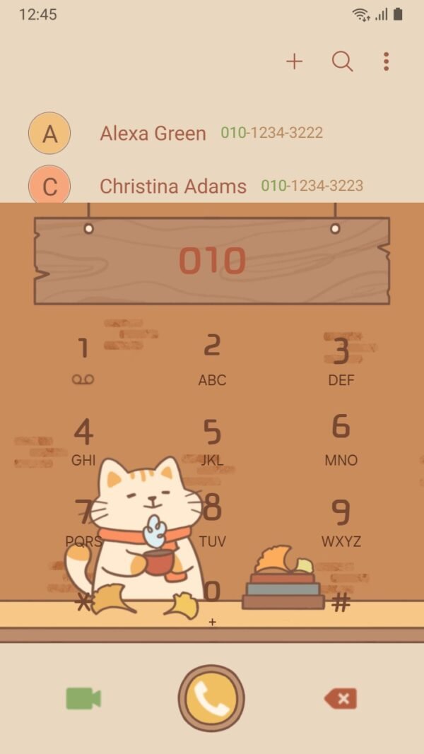 Samsung Themes: ❤️Mun❤️ Cozy Autumn ~❤️ Premium Theme a cute cat with a scarf in a bookshelf window screen shot 2